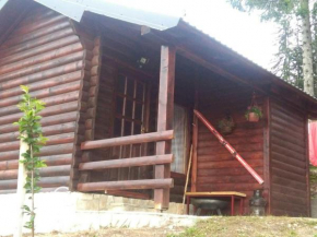 Cozy Cabin